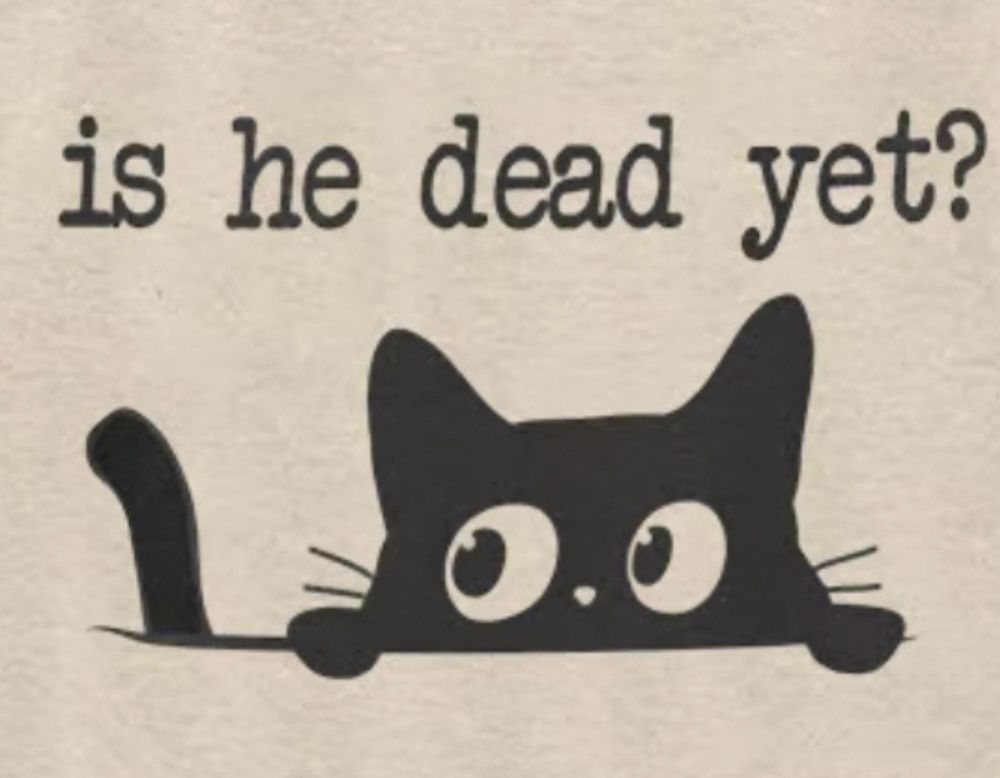 cat with caption “is he dead yet?”