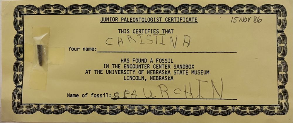 Yellow paper Junior paleontologist certificate dated 15 November 1986 with a sea urchin spine taped to it. Certificate is filled out in child’s block letter messy handwriting with name of child (Christina) and name of fossil (sea urchin).