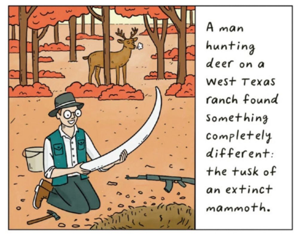Cartoon with man in hat and glasses in foreground holding a large mammoth tusk. Rock hammer bucket and automatic weapon on ground around him. In background tree line has deer breathing a sigh of relief.