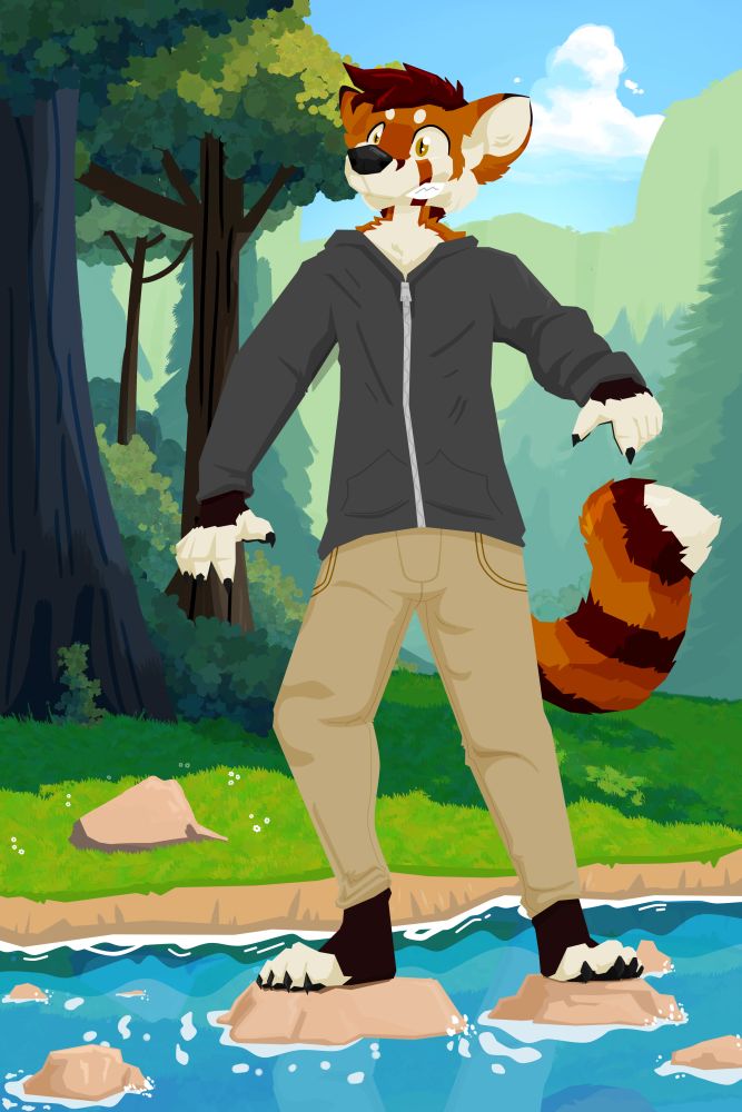 Repaki, a Red Pandox, is carefully walking along stones on a river. It is a mostly clear, beautiful day, and there is a lush forest in the backgorund.