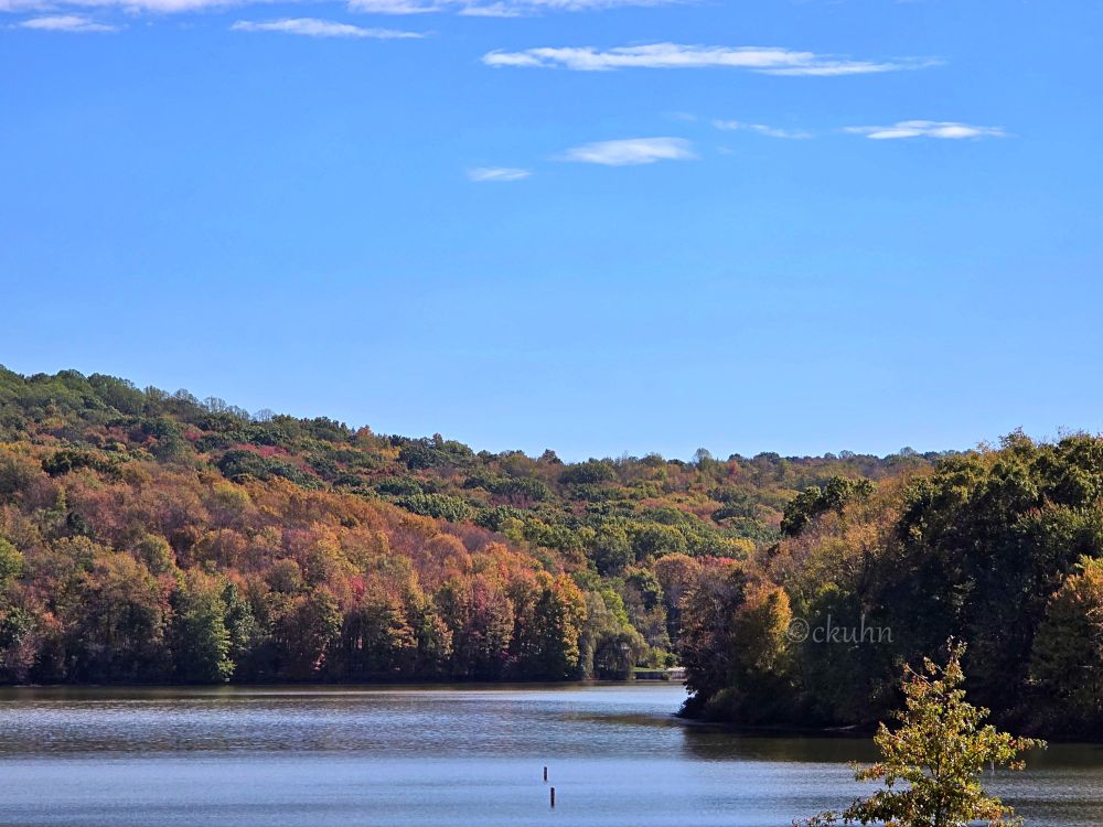 Trees starting to display their autumn colors line the perimeter of Lake Arthur at Moraine State Park (PA).
