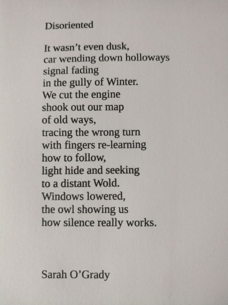 Text on a page. Poem titled Disorientated by Sarah O'Grady 