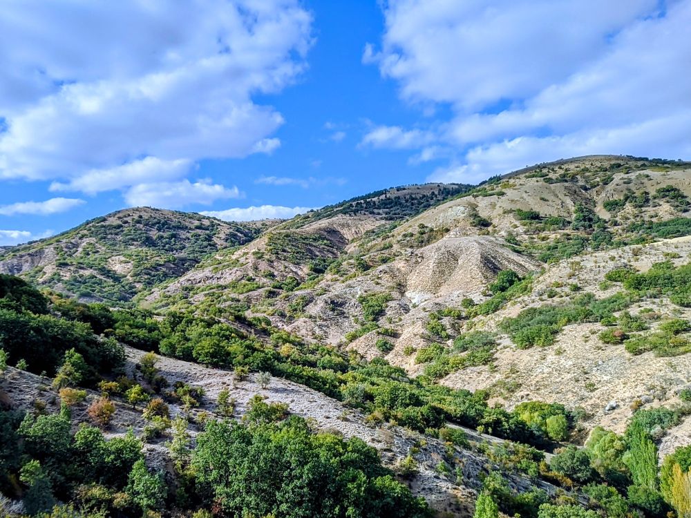 Picture of rolling hills under bright blue sky with scattered white clouds; hills covered in mix of dry light brown grass and patches of varying shades of green trees and bushes