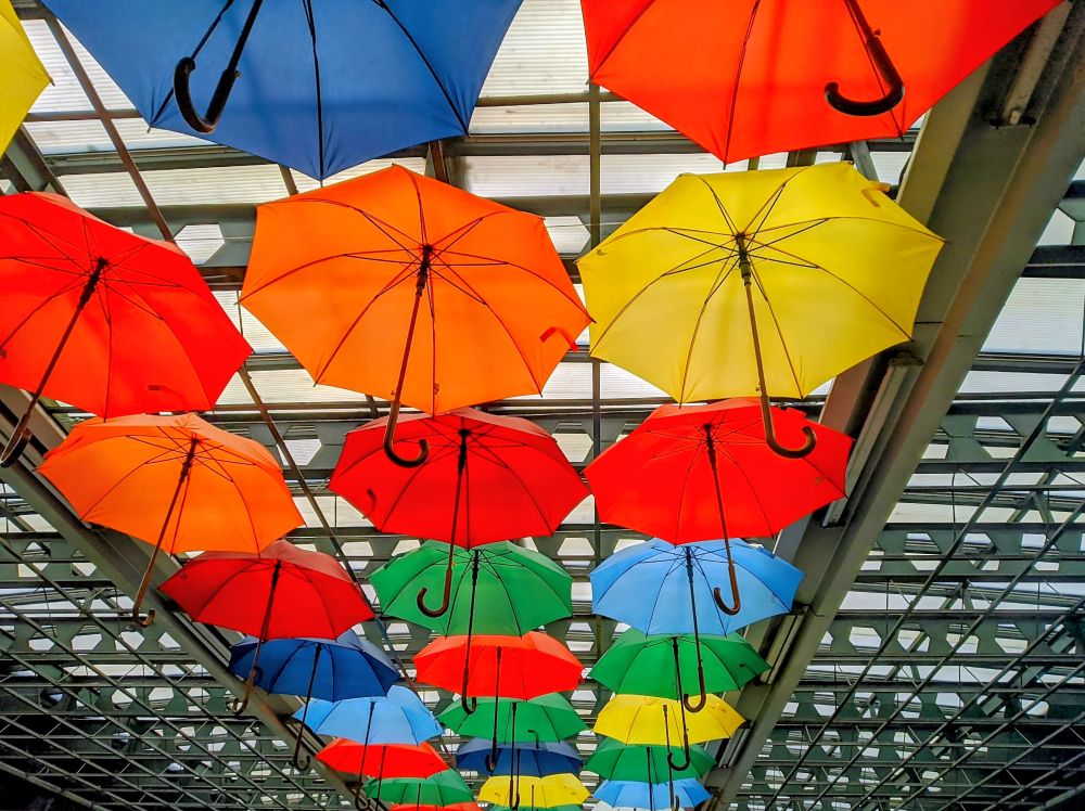 Picture of multiple brightly colored open umbrellas hanging upside down from clear paneled roof structure; umbrellas colored red, orange, yellow, green, and blue, in canopy effect; metal beams and supports of structure visible behind and between umbrellas