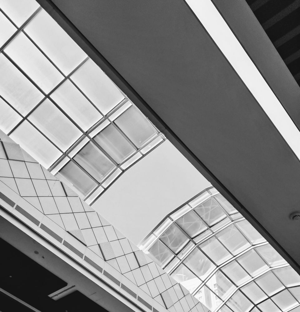 Picture of interior ceiling and skylight with geometric grid patterns on upper ceiling panels and lower sloped surfaces; center area shows curved glass skylight section opening to bright sky; dark lower roofs spans diagonally across lower sides of frame