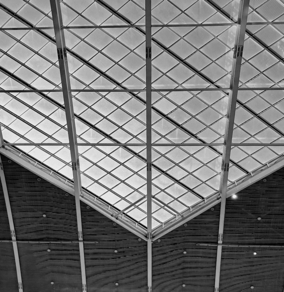 Monochrome picture of grid-patterned glass roof and metal supports with upper area covered in translucent diagonal grid ceiling panels, and lower area featuring dark horizontally slatted material forming triangular indentation; three prominent light-colored metal beams extend vertically through frame acting as major supports, intersected by thinner metal framework creating diamond grid patterns across glass ceiling; glass panels show uniform pattern of small dots or perforations; dark slatted sections in lower corners composite material with small evenly spaced recessed lights