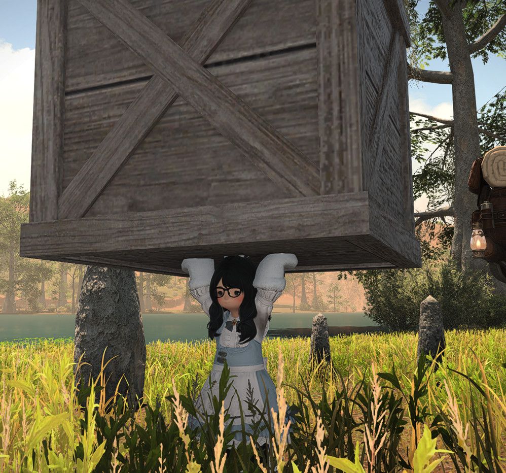 lalafell holding gigantic box above her head in shaaloani