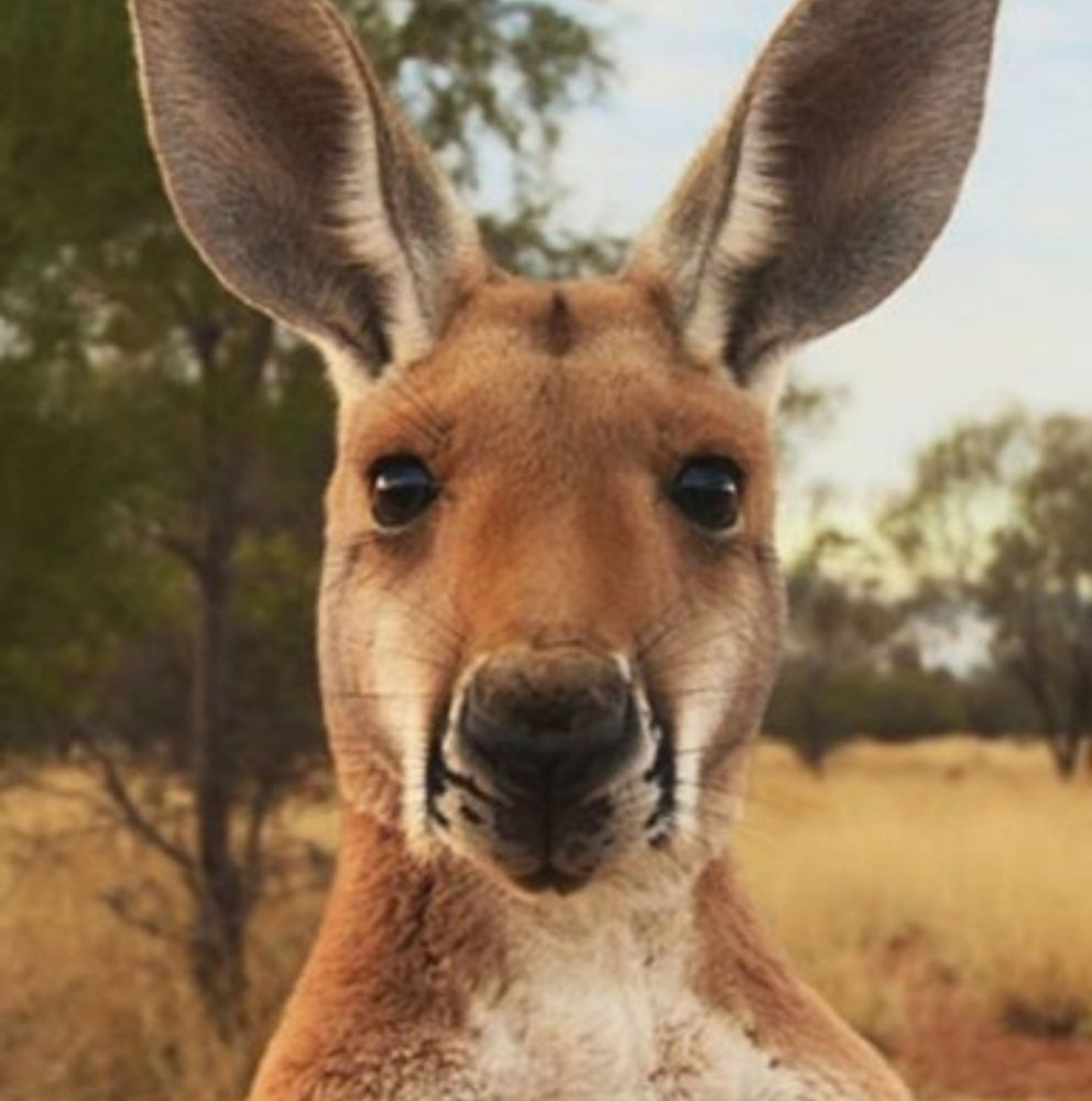 Ich wünsch euch einen schönen Abend .💕🫂