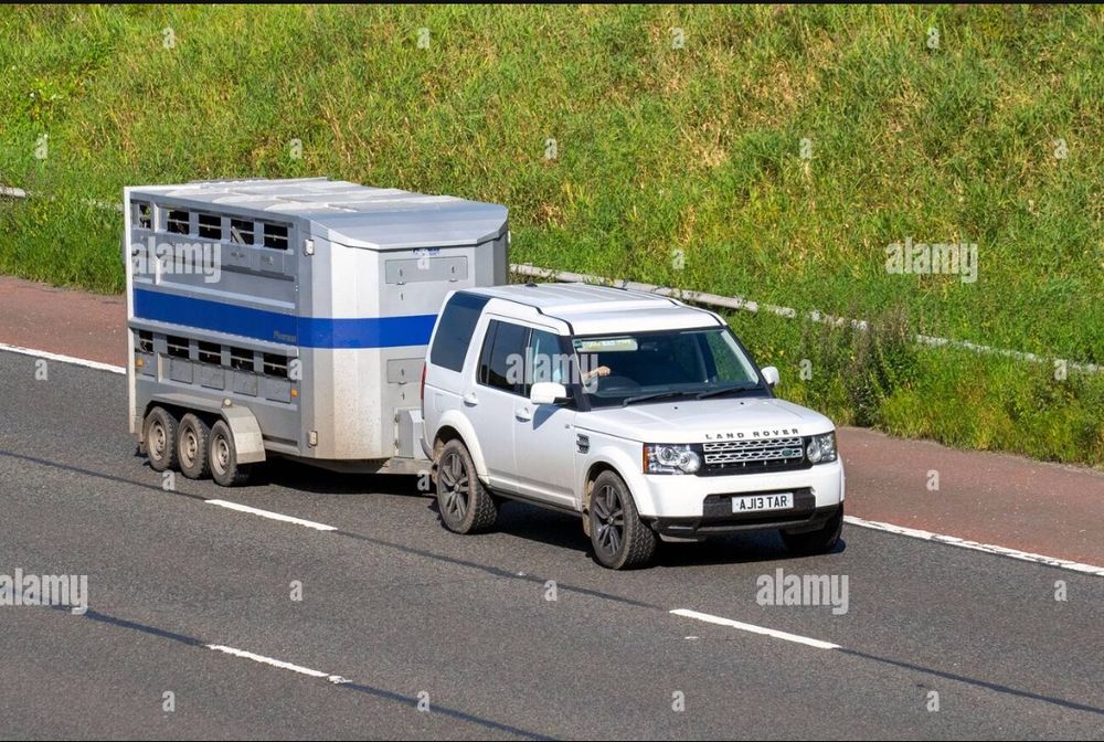 Landrover Discovery pulling livestock in s trailer.