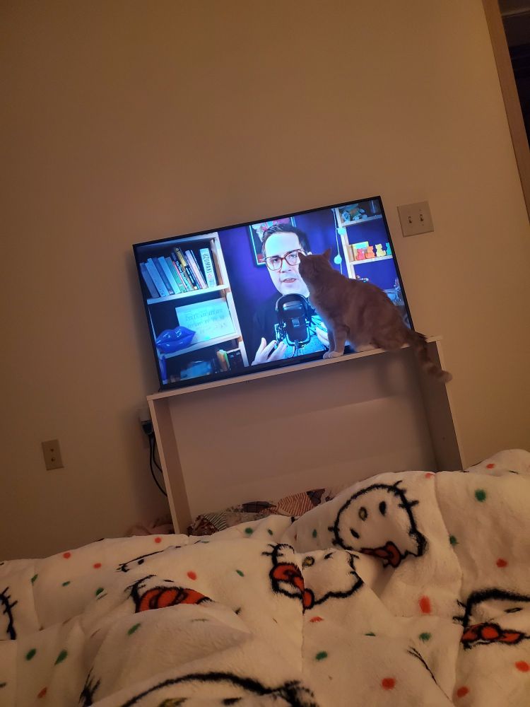 Orange cat RIGHT up on the TV watching a thought slime video with me
