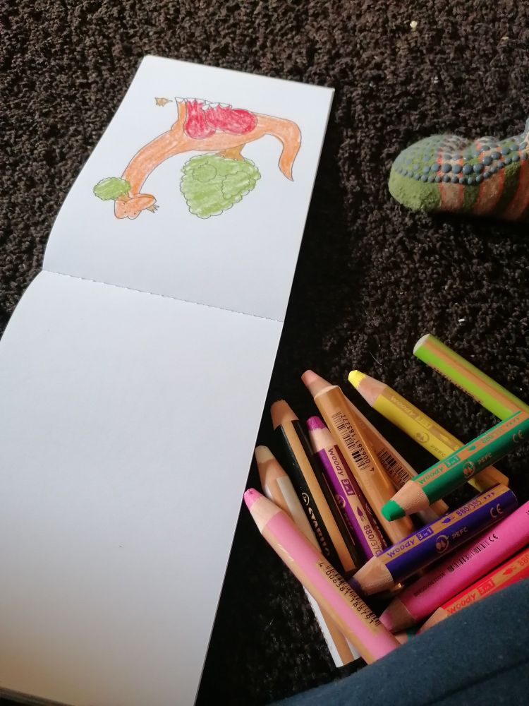 Ein aufgeschlagener Block mit einer ausgemalten Dinosaurier-Auswahlvorlage. Daneben liegen mehrere dicke Buntstifte in verschiedenen Farben.