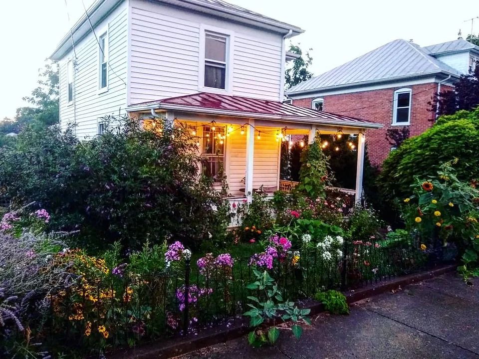 Same house, hung with bistro lights, and an intense garden spilling over the side of the fence and up the side of the house