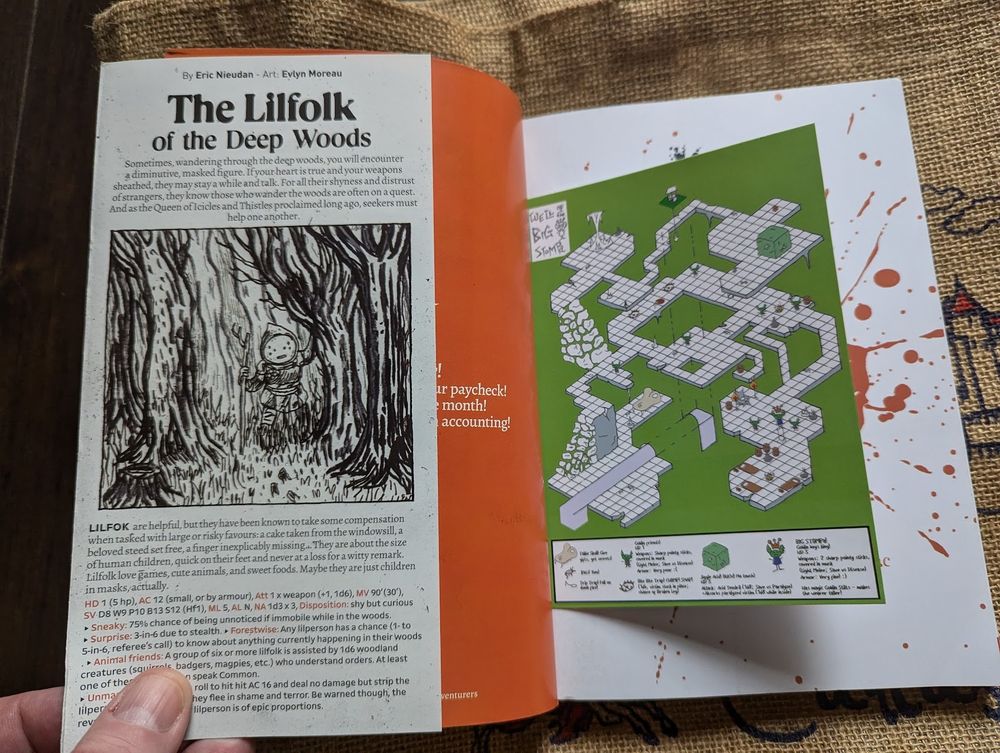 The dust jacket contains a spread of information about creatures called the Lilfolk of the Deep Woods