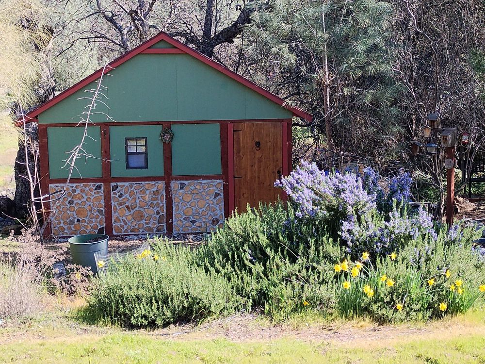 The Hearth and Harp, a tiny tavern.