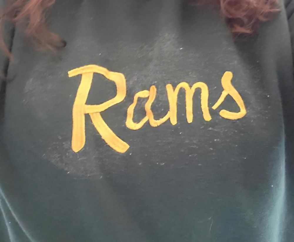 #sewing #craftsky embroidery #bernina