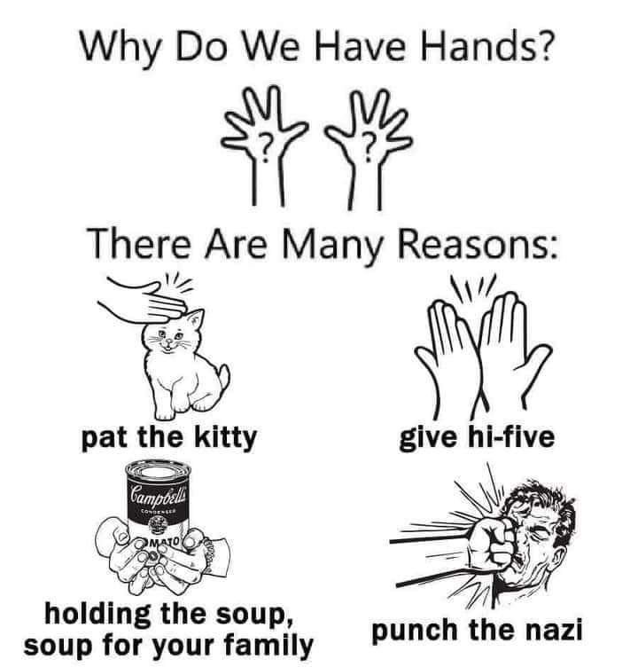 Why Do We Have Hands?
There Are Many Reasons:
pat the kitty
give hi-five
holding the soup, soup for your family 
punch the nazi
