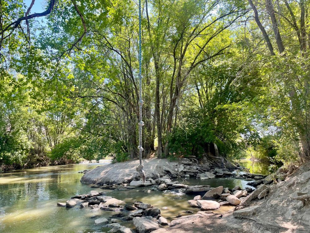 Shallow riverbed with rocks, small waterfalls, trees, and a rope to swing over the river to the other bank. 