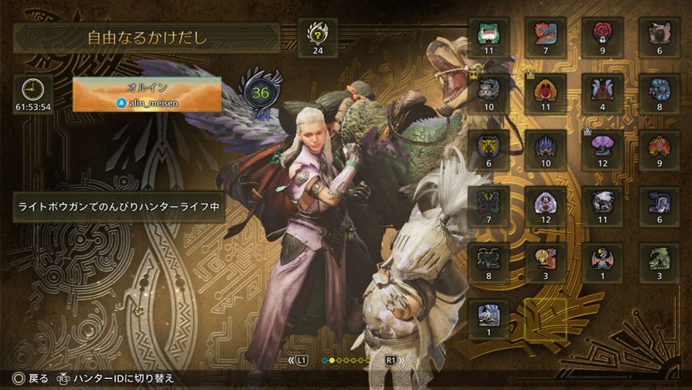 ハンタープロフィールはこんな感じ