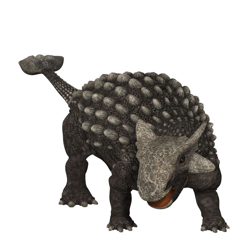Ankylosaurus, the armored lizard