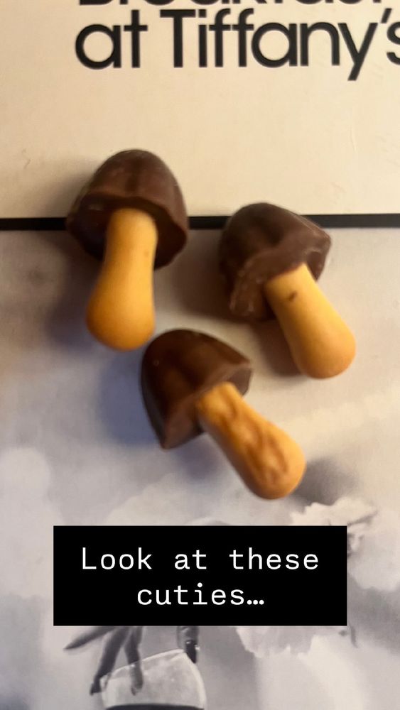 Mushroom shaped chocolates with light stems, resting on a Penguin modern classic version of Breakfast at Tiffany’s 