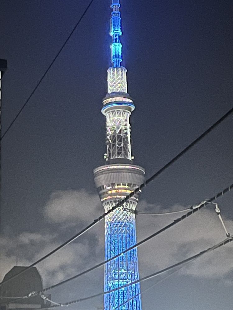 A neon-lit tower crossed with electricity lines… bright against the      night sky 