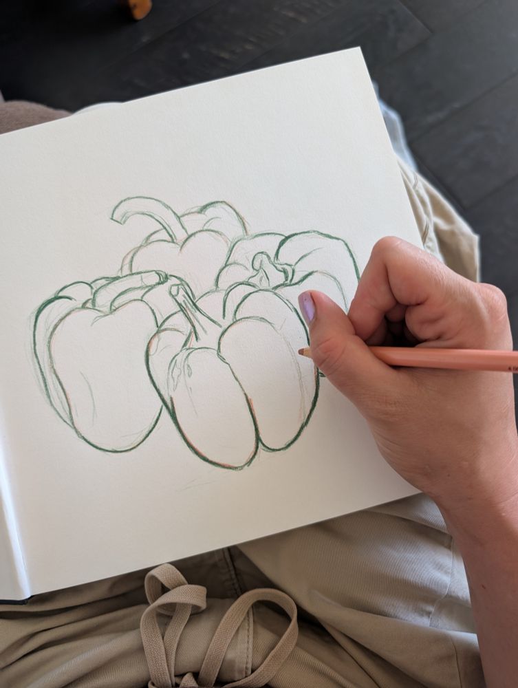 A drawing of some peppers in a sketchbook with a hand holding a pencil. 
