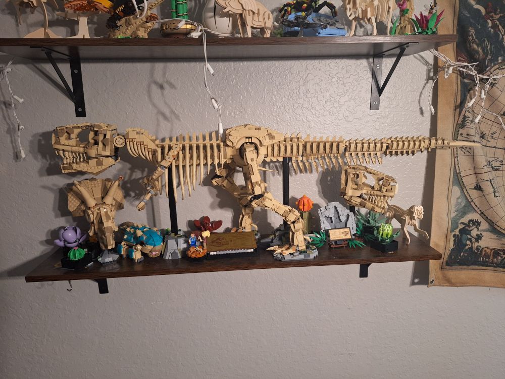 The full body t-rex skeleton, completely assembled and on a display shelf. The shelf is about 3 feet long and the t-rex is fills it, and sticks off by about 6 inches. The t-rex is surrounded by other lego sets- the triceratops head, the other t-rex head, the ankylosaurus, and the succulent set. There is also a wooden monkey on the shelf.