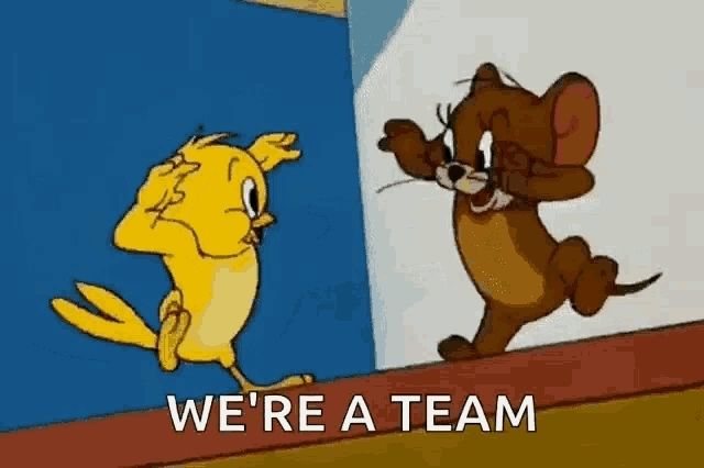 Un dessin animé avec un piaf et une souris qui se serrent la main en disant : we are a team.