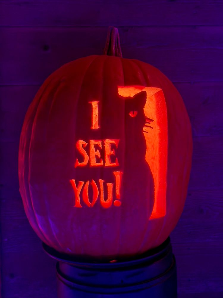 A pumpkin carved into a cat and words that say “I see you”