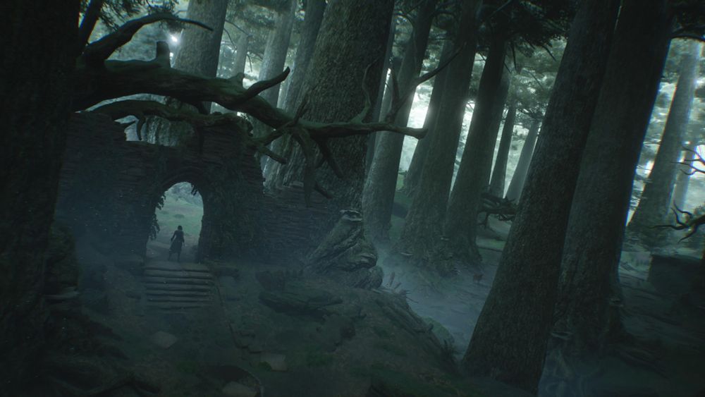 A screenshot from Hogwarts Legacy. A vista shot of some ruins inside the Forbidden Forest.
