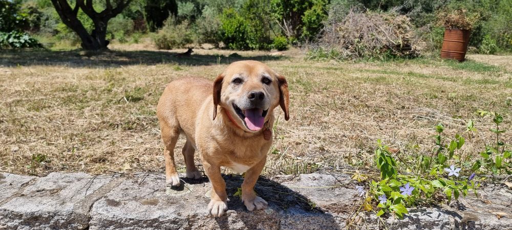 Friendly Romeo. Please rub me!