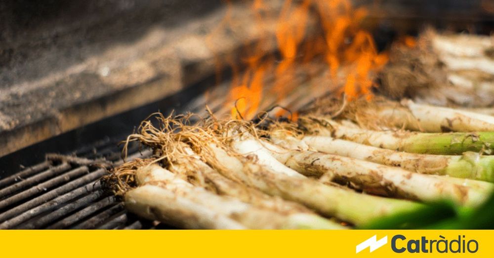 Arrenquen les calçotades: 18 milions de cebes i de gran qualitat