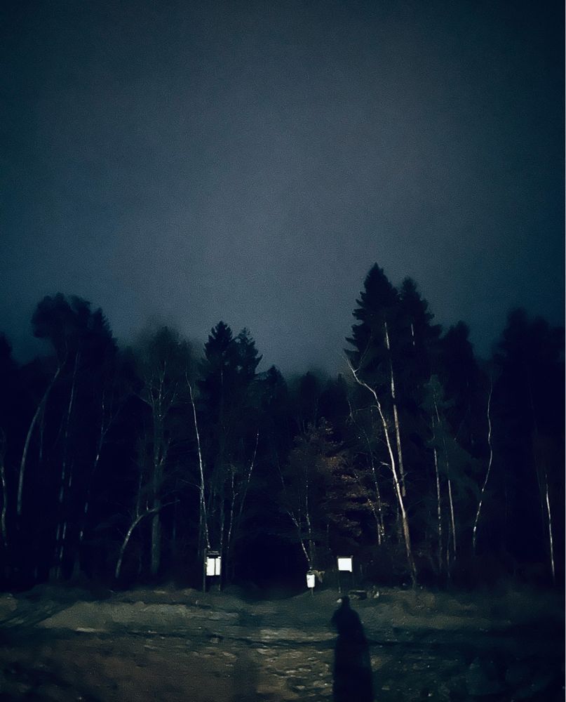 Entrée de forêt de nuit, silhouettes d’arbres sombres et une ombre humaine au premier plan.