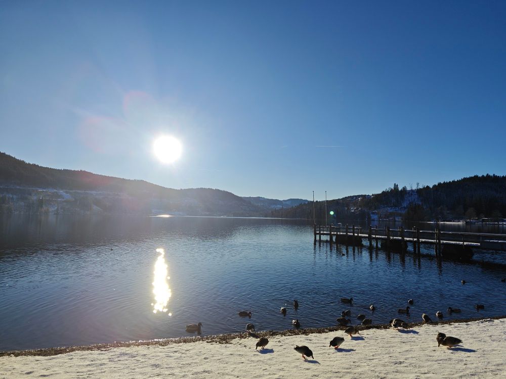 Sonne über dem Titisee, im Vordergrund sind Enten auf dem verschneiten Strand 