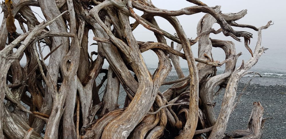 Roots of a tree that have been dried and aged with saltwater and sun. The roots are in the foreground and a grey sky, grey pebble beach and calm grey water are in the background. This is a place that orcas come to rub against the pebbles and can often be seen from the shore. Unfortunately, I didn’t see any orcas, but was still very impressed with the view here. 