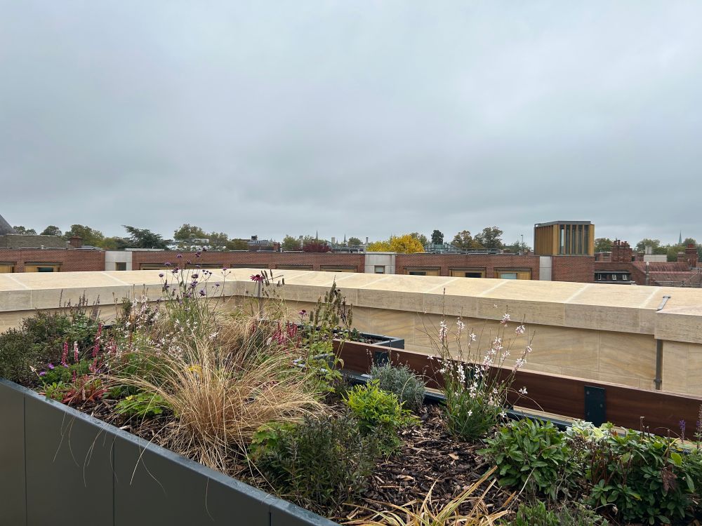 Wet roof terrace waiting for better days 