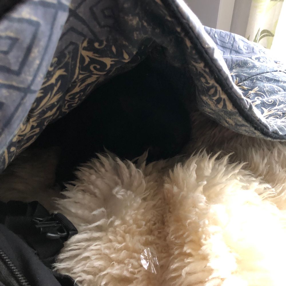 Chat noir dormant entre une couette et une peau de mouton 