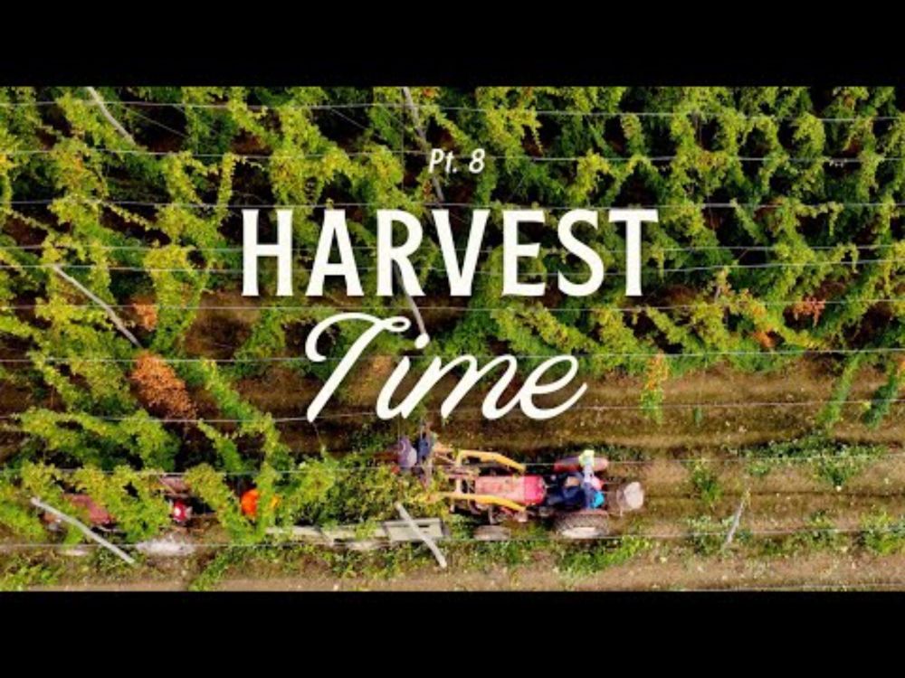 Harvest Time (Keep Cask Alive p8)