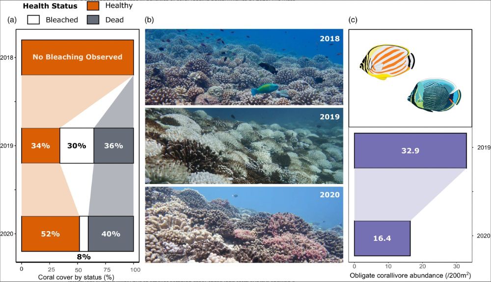 A figure describing trends in coral cover and butterflyfishes.