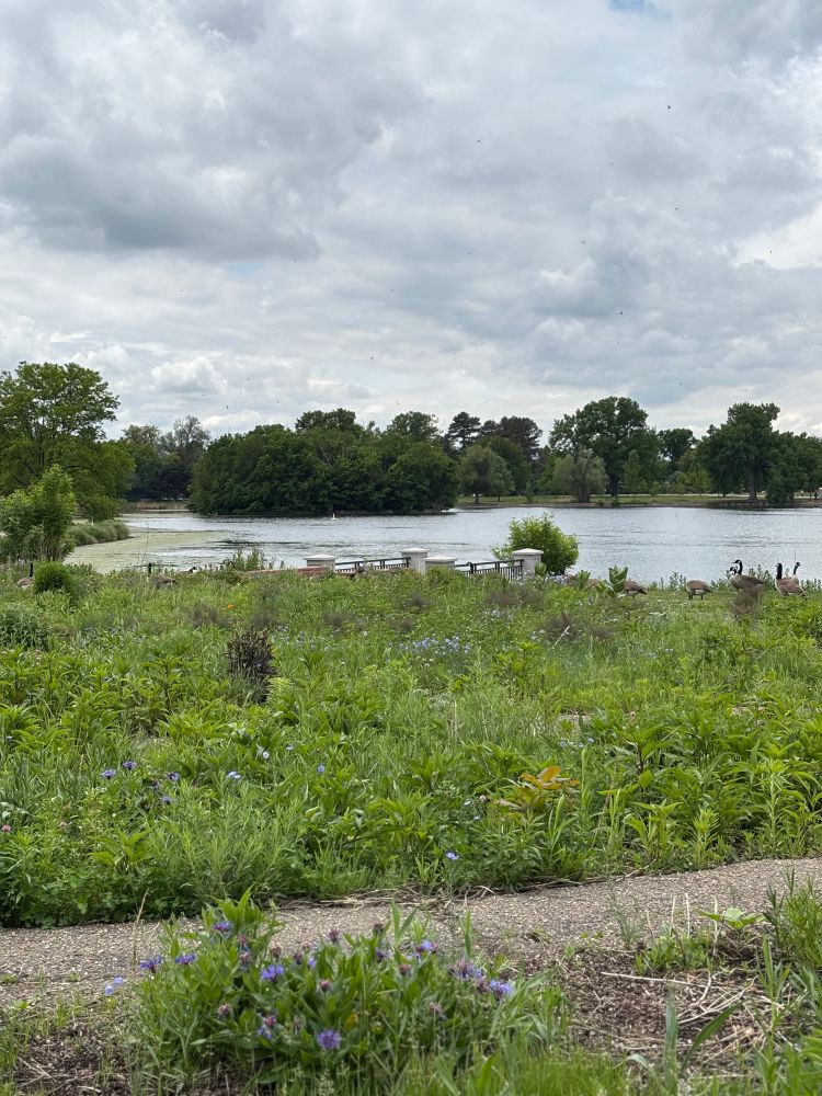 view of flowers, a walking path, and a small lake surrounded by trees 