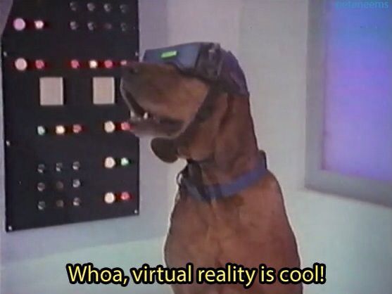 A brown dog in a control room wearing virtual reality glasses, he thinks it’s cool.