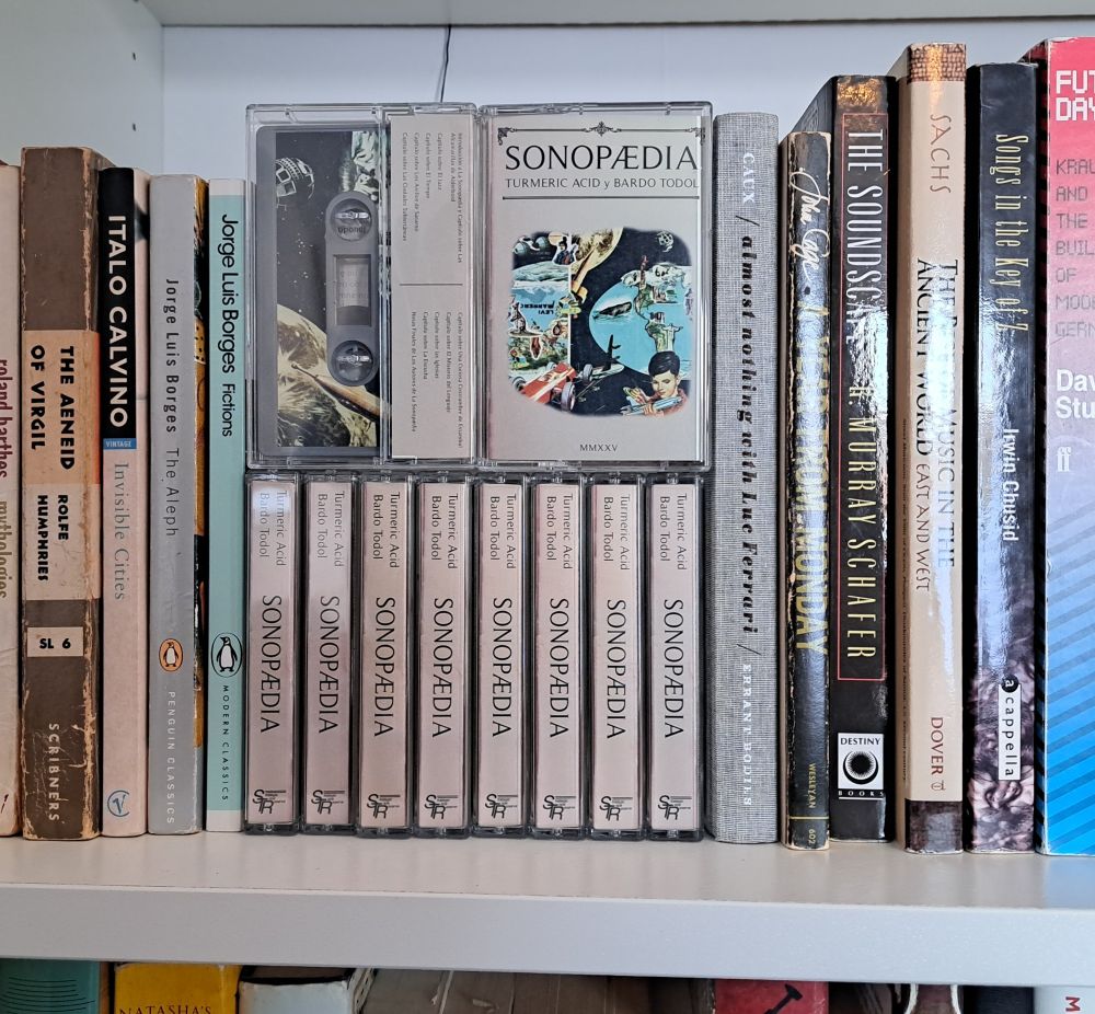 Sonopædia tapes on a shelf with some books