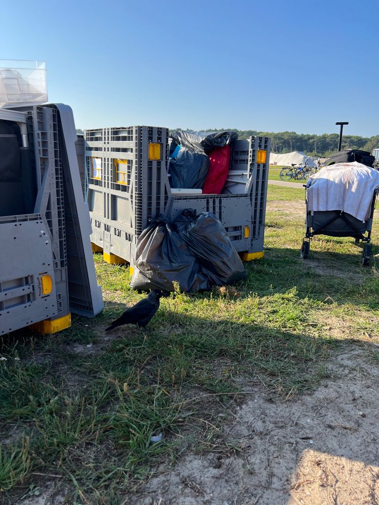 Kisten gevuld met spullen op een grasveld met daarboven een strakblauwe lucht.