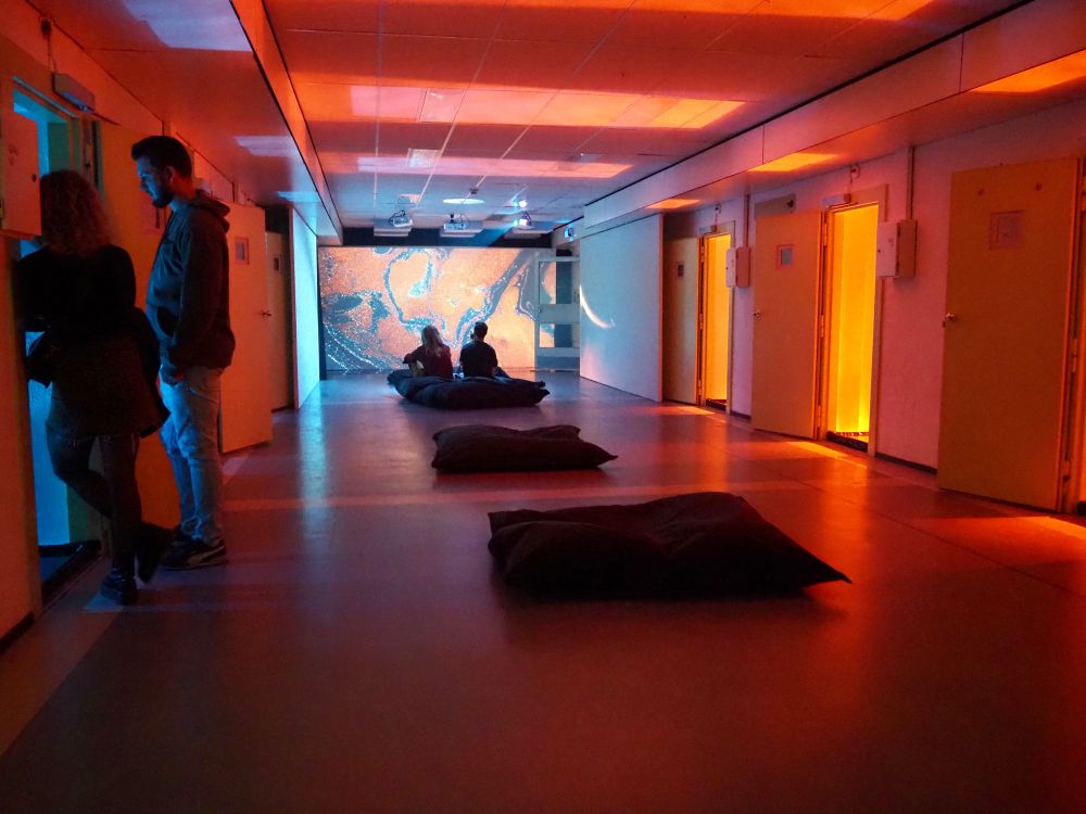 Kunst in de hallen van het Pieter Baan Centrum