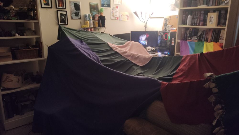 A photograph of OP's living room. Taking up the majority of the space are a series of blankets and sheets hung up by and draped over string connected to walls and around heavy anchors. A couch can barely be seen in the bottom right corner, and is providing more structural integrity for the blanket fort.