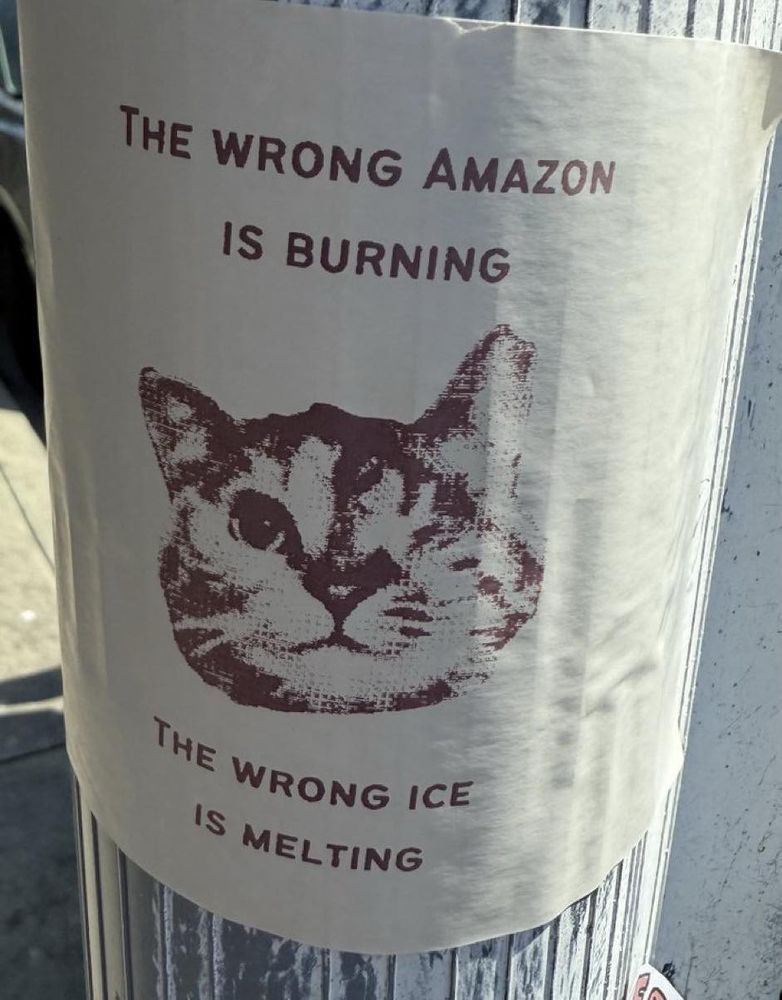 A poster with a cat and the words: 

THE WRONG AMAZON
IS BURNING
THE WRONG ICE
Is MELTING