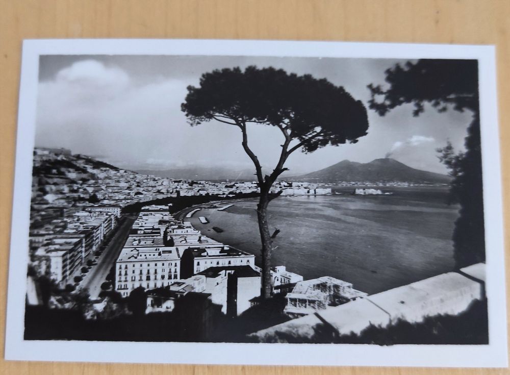 tree in front of a panorama of napoli at the ocean, vesuv in background right