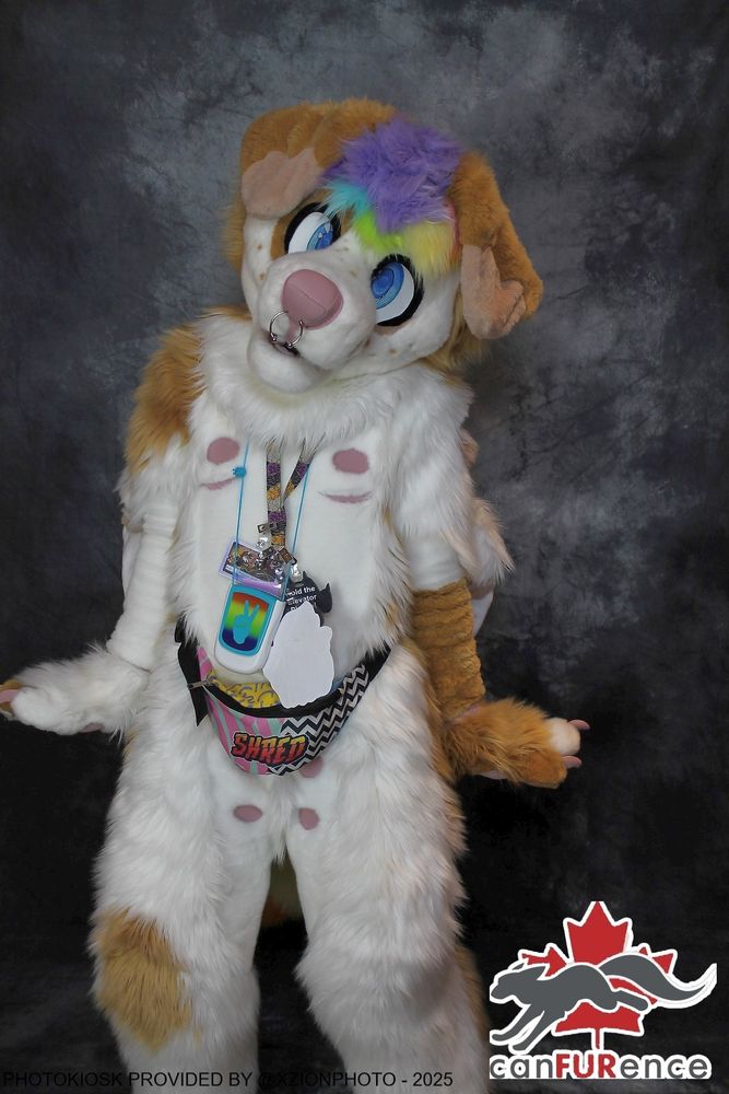 A white dog fursuit with brown spots and lilac hair with rainbow accents. He has his arms stiff at his sides with his paws angled upward as he looks at the camera