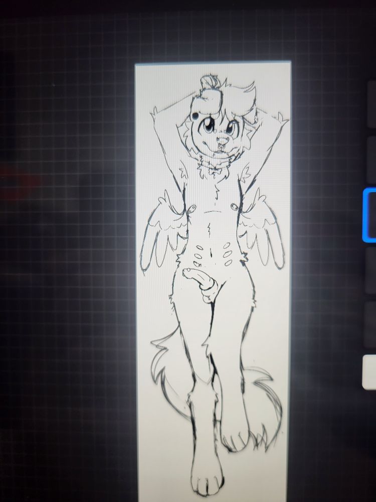 A digital uncolored sketch of an anthro dog laying on his back with his arms above his head. He has an erect knot and is looking at the viewer cutely with a small smile. He has a collar around his neck and face and body piercings.