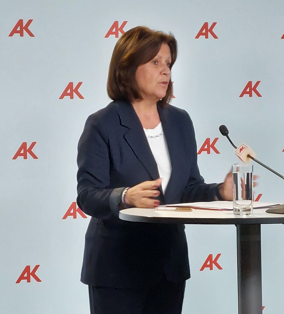 AK-Präsidentin Anderl bei der Pressekonferenz zum Sozialbetrug von Unternehmen 
